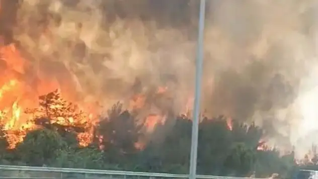 İzmir Buca'da Orman Yangını: Havadan ve Karadan Müdahale Sürüyor
