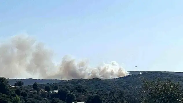 İzmir Çeşme’deki Yangına Hızlı Müdahale Devam Ediyor