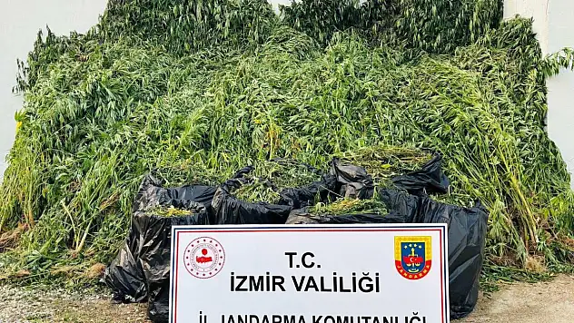 İzmir'de Jandarma'dan Uyuşturucu Operasyonu: 87 Şüpheli Yakalandı