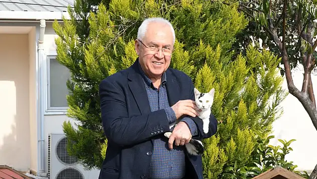 İzmir Karabağlar’da online kısırlaştırma