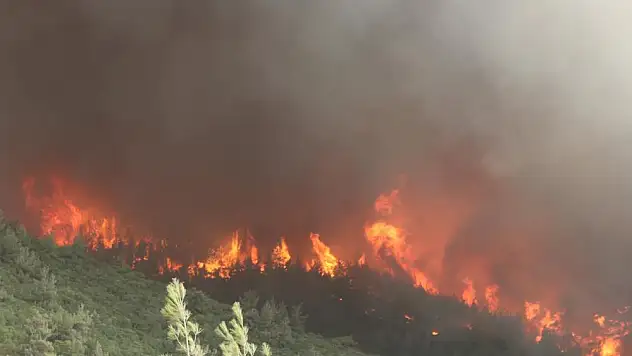 İzmir Kınık’taki Orman Yangını: Balya Makinesi Yangının Sebep Olabilir