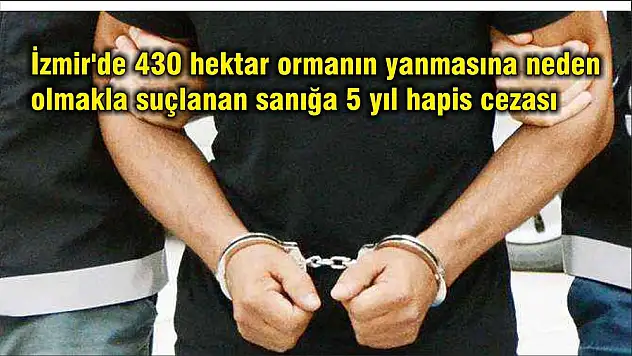 İzmir’de 430 hektar ormanın yanmasına neden olmakla suçlanan sanığa 5 yıl hapis cezası