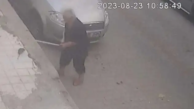 İzmir’de bir kadını fare ısırdı