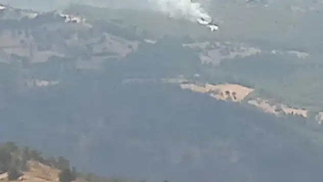 İzmir’de orman yangınları kontrol altına alındı