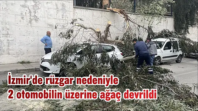 İzmir’de rüzgar nedeniyle 2 otomobilin üzerine ağaç devrildi
