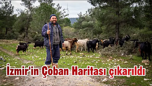 İzmir'in Çoban Haritası çıkarıldı