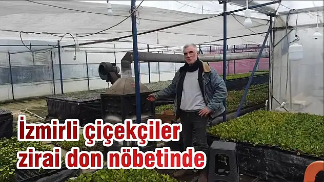 İzmirli çiçekçiler zirai don nöbetinde