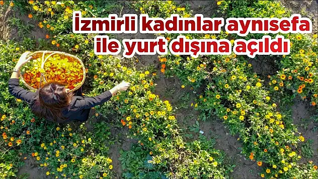 İzmirli kadınlar aynısefa ile yurt dışına açıldı