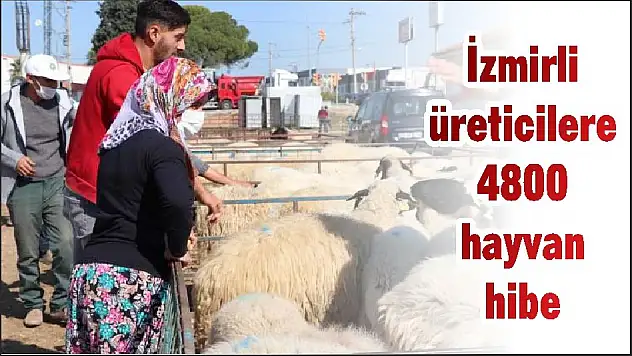İzmirli üreticilere 4800 hayvan hibe
