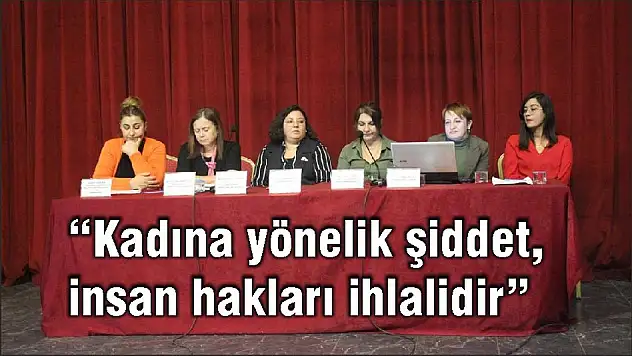 'Kadına yönelik şiddet, insan hakları ihlalidir'