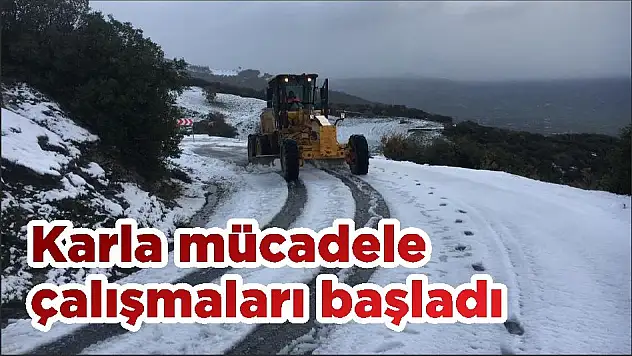 Karla mücadele çalışmaları başladı