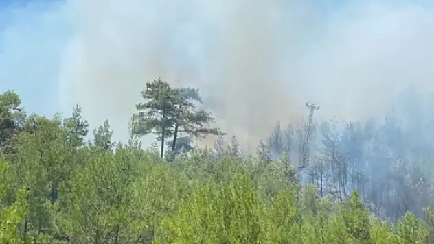 Kaş’da orman yangını