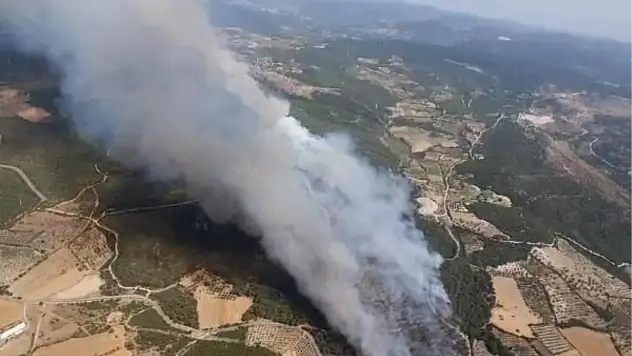 Kınık’ta orman yangını çıktı!