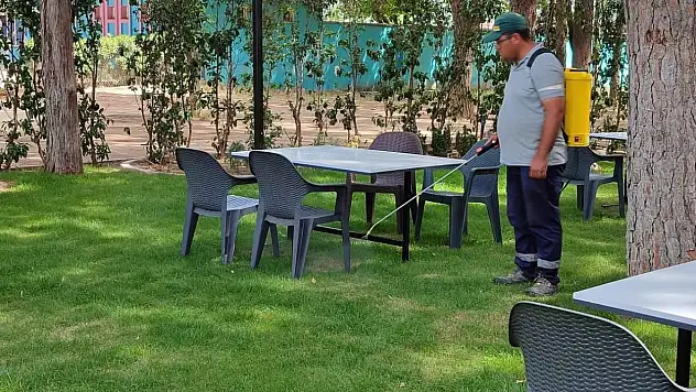 Kiraz Belediyesi'nden Haşereyle Mücadelede Kararlı Adımlar