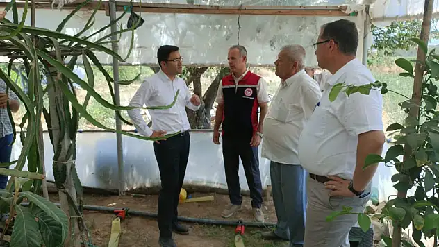 Kiraz'da Tarımın Nabzı Yerinde Tutuldu: Kaymakam Karahan ve İlçe Tarım Müdürü Sahadaydı