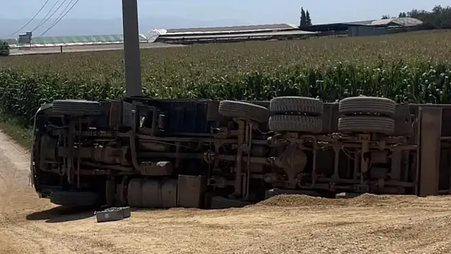 Kiraz Yolunda Mısır Silajı Yüklü Kamyon Devrildi