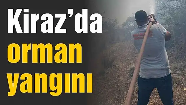 Kiraz'da orman yangını