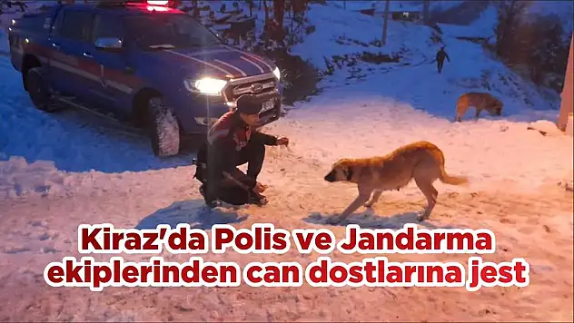 Kiraz'da Polis ve Jandarma ekiplerinden can dostlarına jest