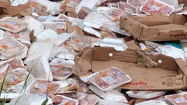 Koli koli tavuğu ormana dökmüşler