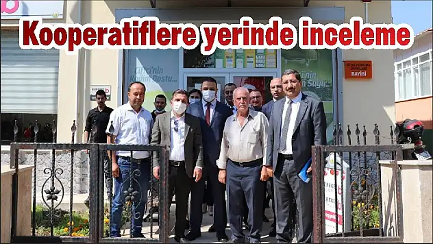 Kooperatiflere yerinde inceleme