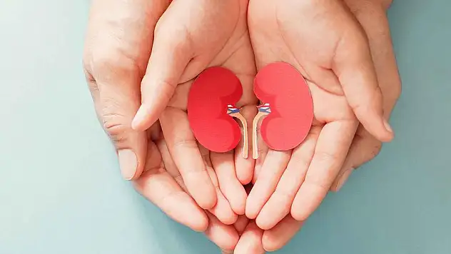 Koyun ve Sezer ailelerine çifte bayram