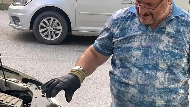 Manisa’da sürücünün dikkati yavru kediyi kurtardı