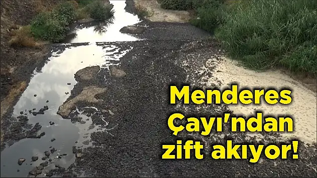 Menderes Çayı’ndan zift akıyor!