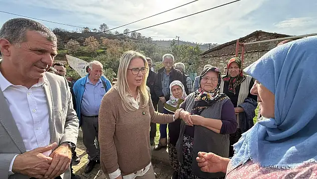 Milletvekili Ceyda Bölünmez Çankırı, Ödemiş'te Yangın Bölgesinde İncelemelerde Bulundu