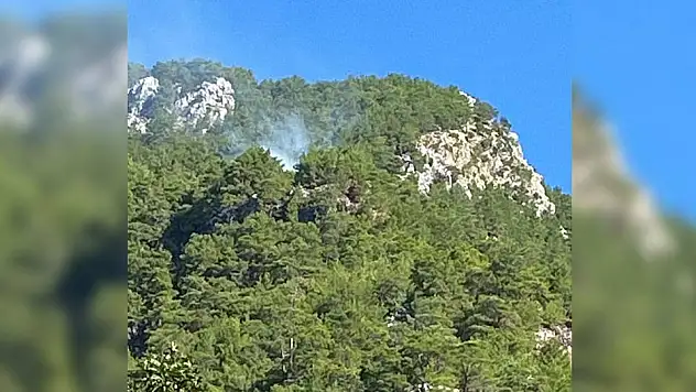 Muğla'da orman yangını çıktı