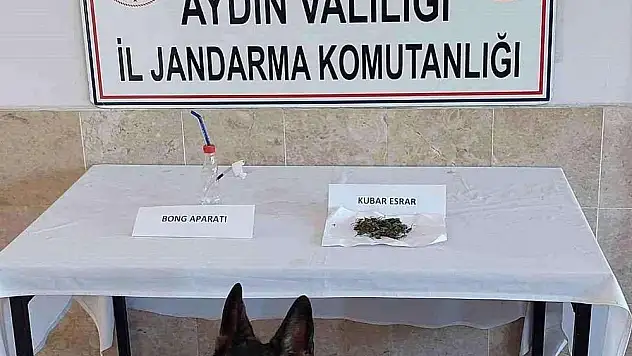 Nazilli’de Jandarma Operasyonunda Uyuşturucu Madde Ele Geçirildi