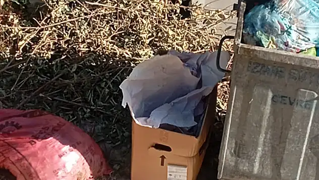 Ödemiş Bademli Mahallesi'nden Tepki: Çöpler Toplanmıyor, Sokaklar Pislik İçinde!