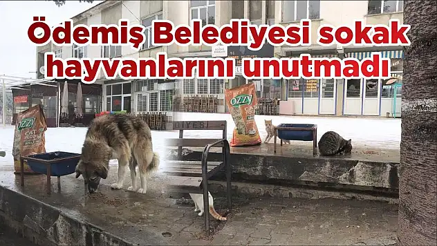 Ödemiş Belediyesi sokak hayvanlarını unutmadı