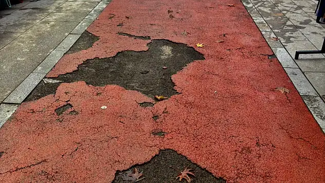 ÖDEMİŞ'E BU GÖRÜNTÜ YAKIŞMIYOR