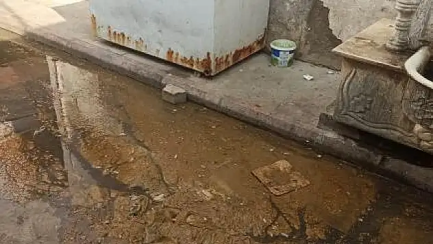 ÖDEMİŞ PEYNİR PAZARINDA GİDERLER TAŞTI