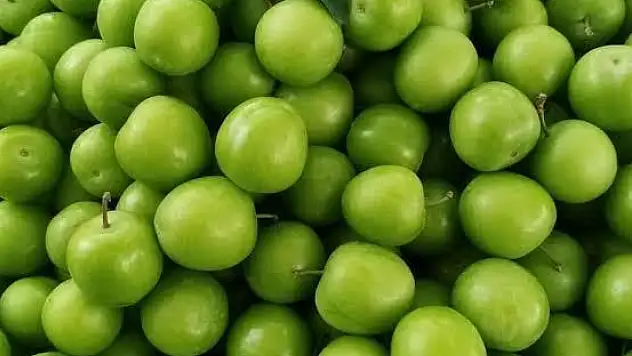 Ödemiş'te Erik Sezonu Açıldı Kilosu 150 Lirayı Gördü