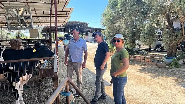 Ödemiş'te Hayvansal Gübre Deposu Projesi İçin İşletmelerde Uygunluk İncelemesi Yapıldı