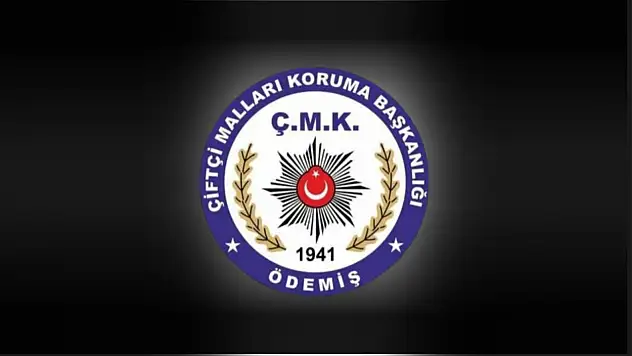 ÖDEMİŞ'TE ÖLÜ HAYVAN UYARISI: YOL KENARLARINA BIRAKMAYIN