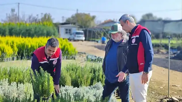 Ödemiş'te Süs Bitkisi ve Fidan Üretim Tesislerine Denetim