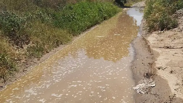 Ödemiş Umurbey'de Su İsrafı Göz Göre Göre: Vahşi Sulama Krizi Büyüyor