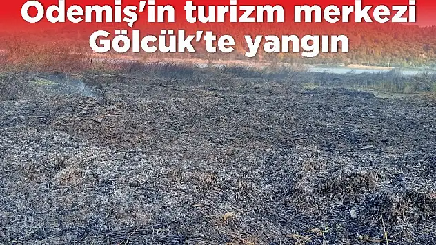 Ödemiş'in turizm merkezi Gölcük'te yangın