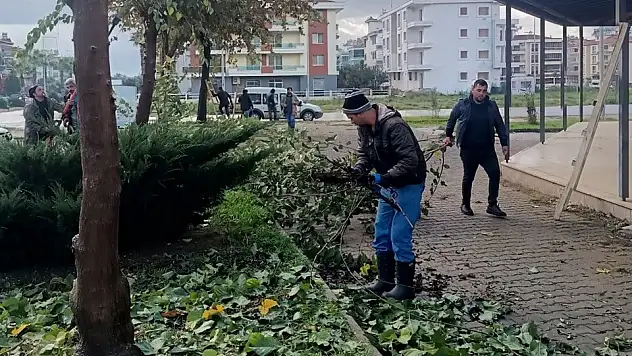 Ödemiş’te kış bakımı çalışmaları sürüyor