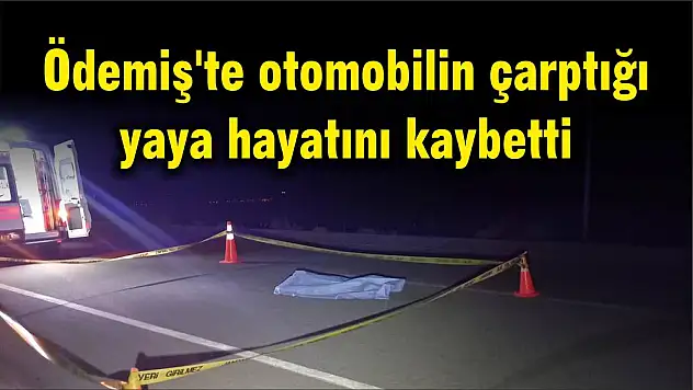 Ödemiş'te otomobilin çarptığı yaya hayatını kaybetti