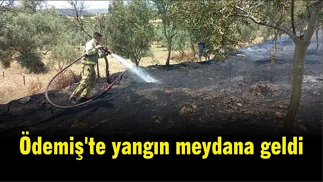 Ödemiş'te yangın meydana geldi