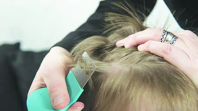 Okul döneminde çocuklarda bit problemi