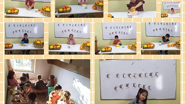Okul Öncesi C Vitamini Etkinliği