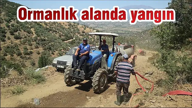 Ormanlık alanda yangın