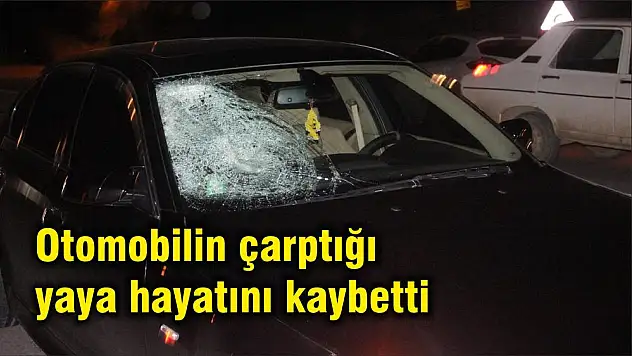 Otomobilin çarptığı yaya hayatını kaybetti