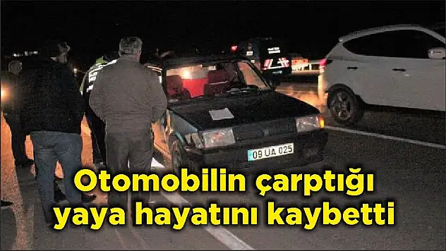 Otomobilin çarptığı yaya hayatını kaybetti