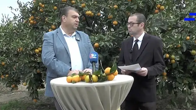 Seferihisar Mandalina Festivali Geleneksel Hale Geliyor: Başkan İsmail Yetişkin ile Röportaj