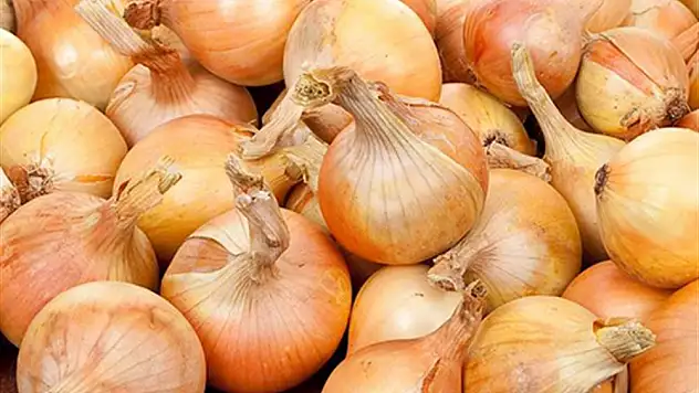 Soğan fiyatları gündemden düşecek